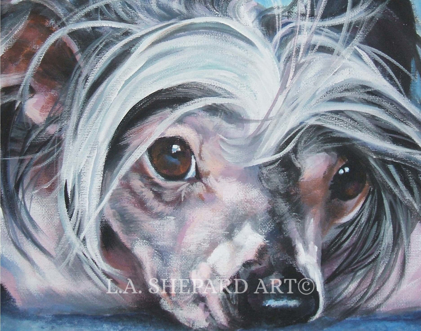 chinese crested dog art portrait print of LA Shepard painting 11x14