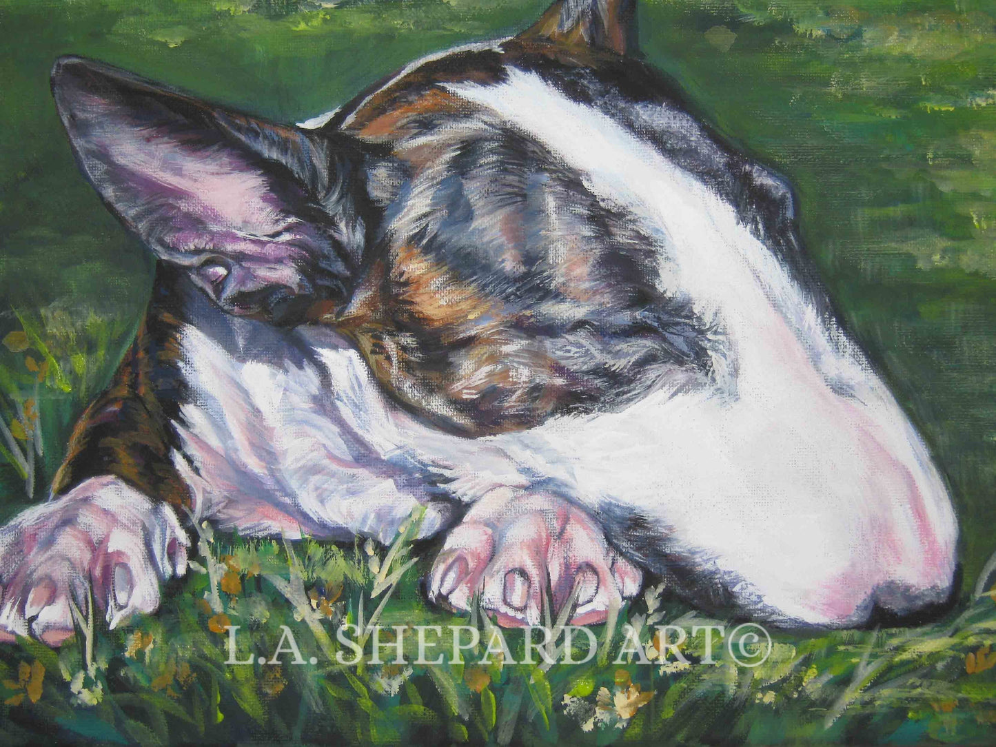 BULL TERRIER dog portrait art canvas PRINT of LAShepard painting 8x10"