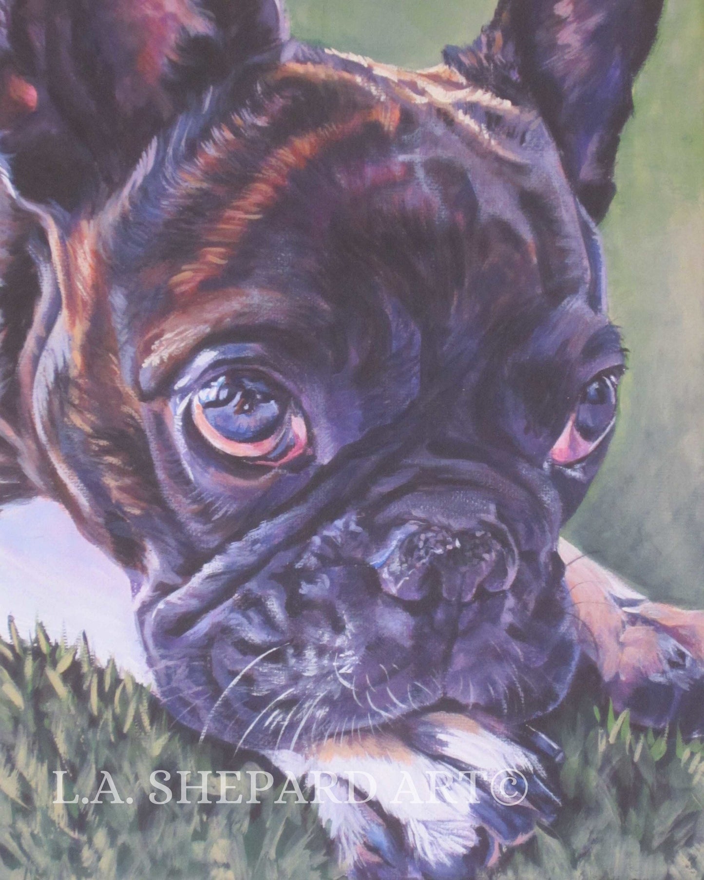 brindle FRENCH BULLDOG art portrait canvas PRINT of LAShepard painting 8x10"