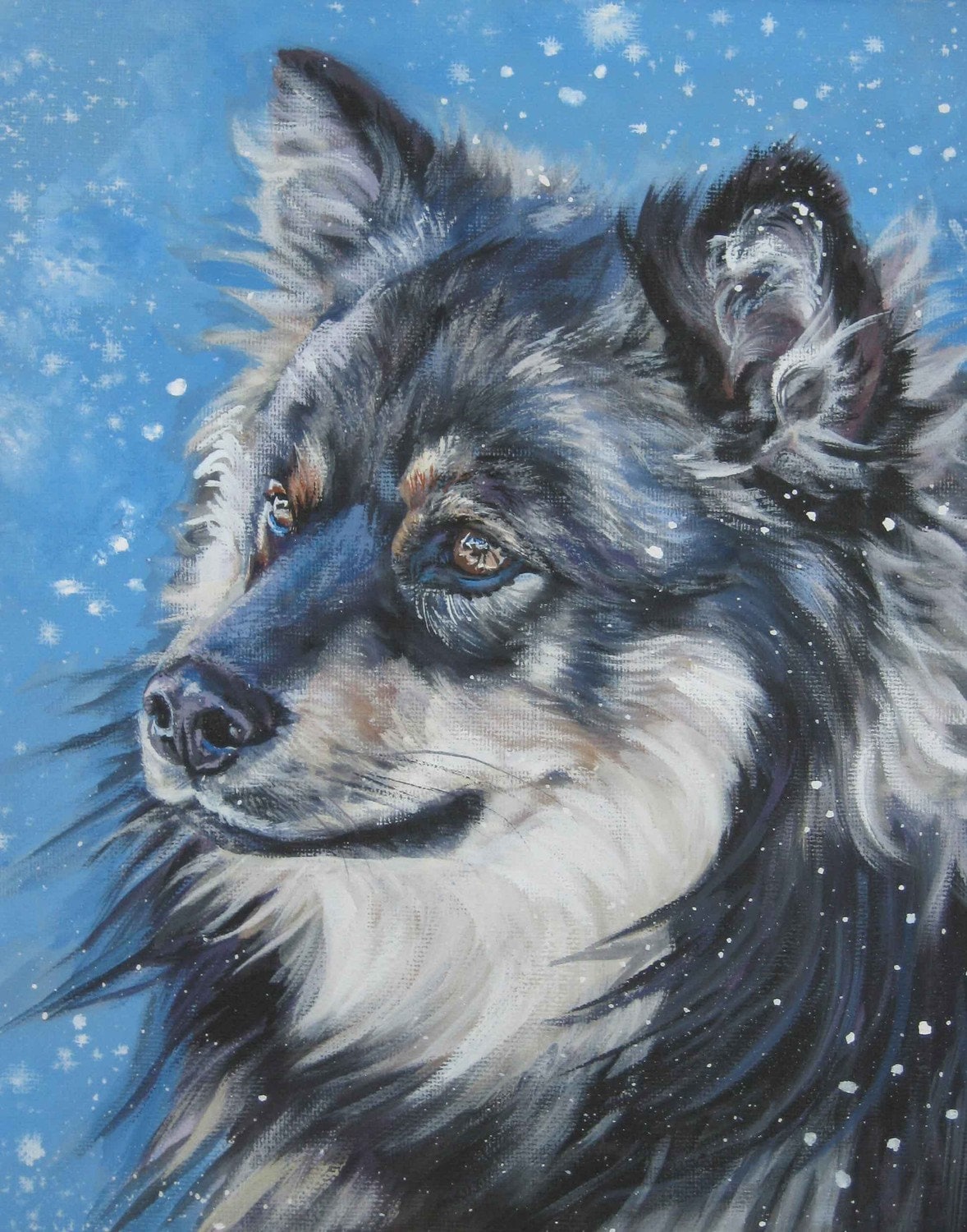Finnish Lapphund portrait CANVAS print of LA Shepard painting 11x14 dog art