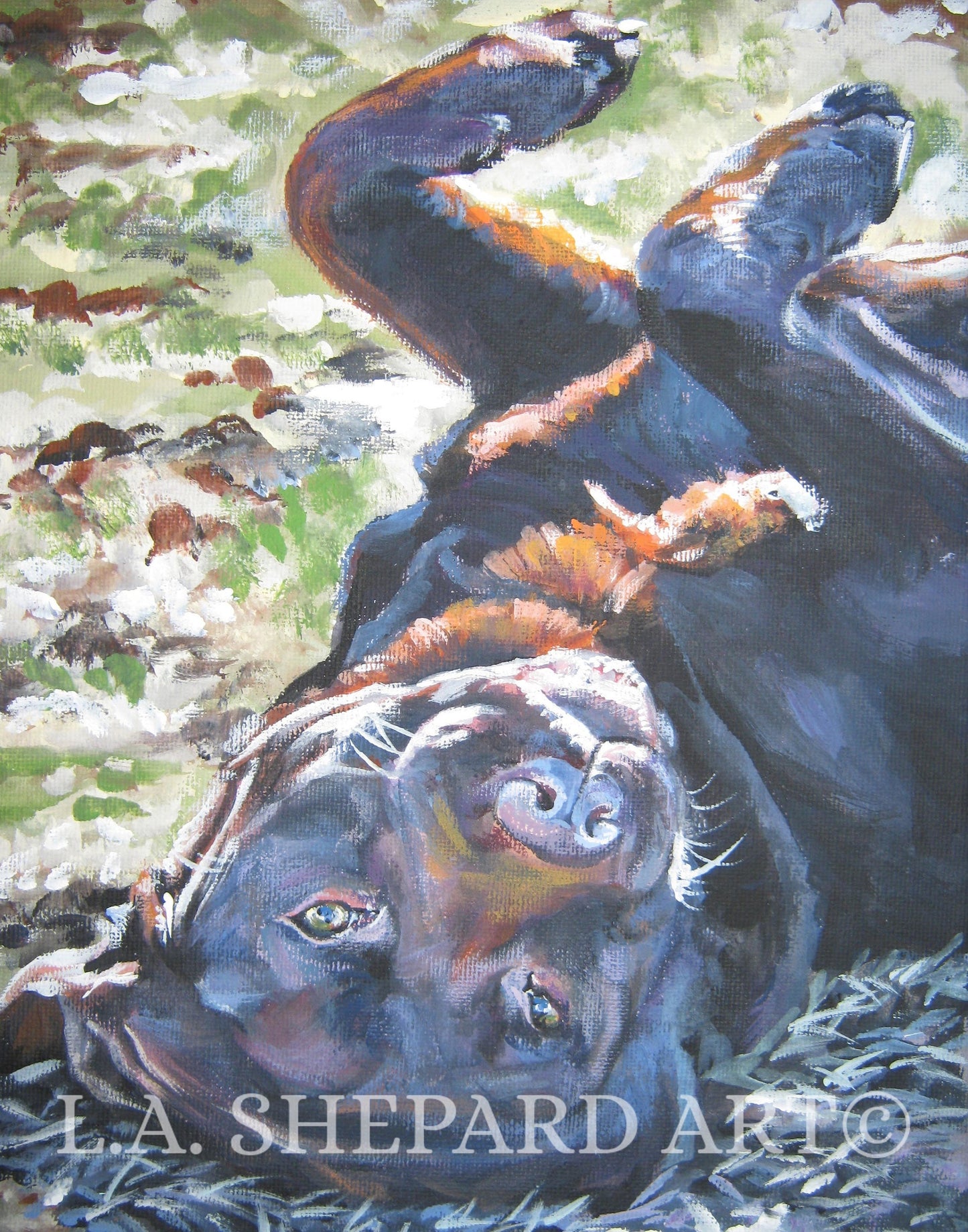Labrador retriever CHOCOLATE LAB dog ART canvas print of LAShepard painting 8x10 chocolate lab