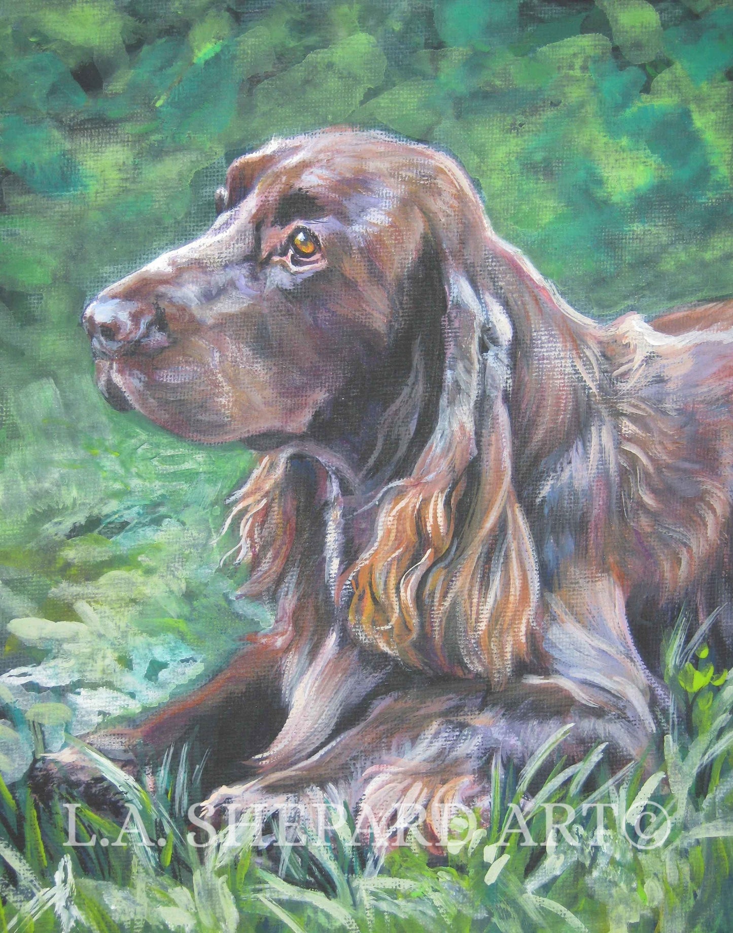 FIELD SPANIEL dog art portrait canvas PRINT of LAShepard painting 8x10"