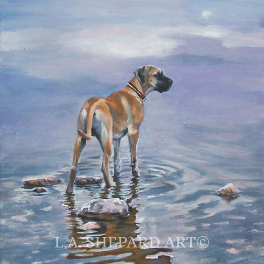 GREAT DANE dog art canvas PRINT of LAShepard painting 12x12