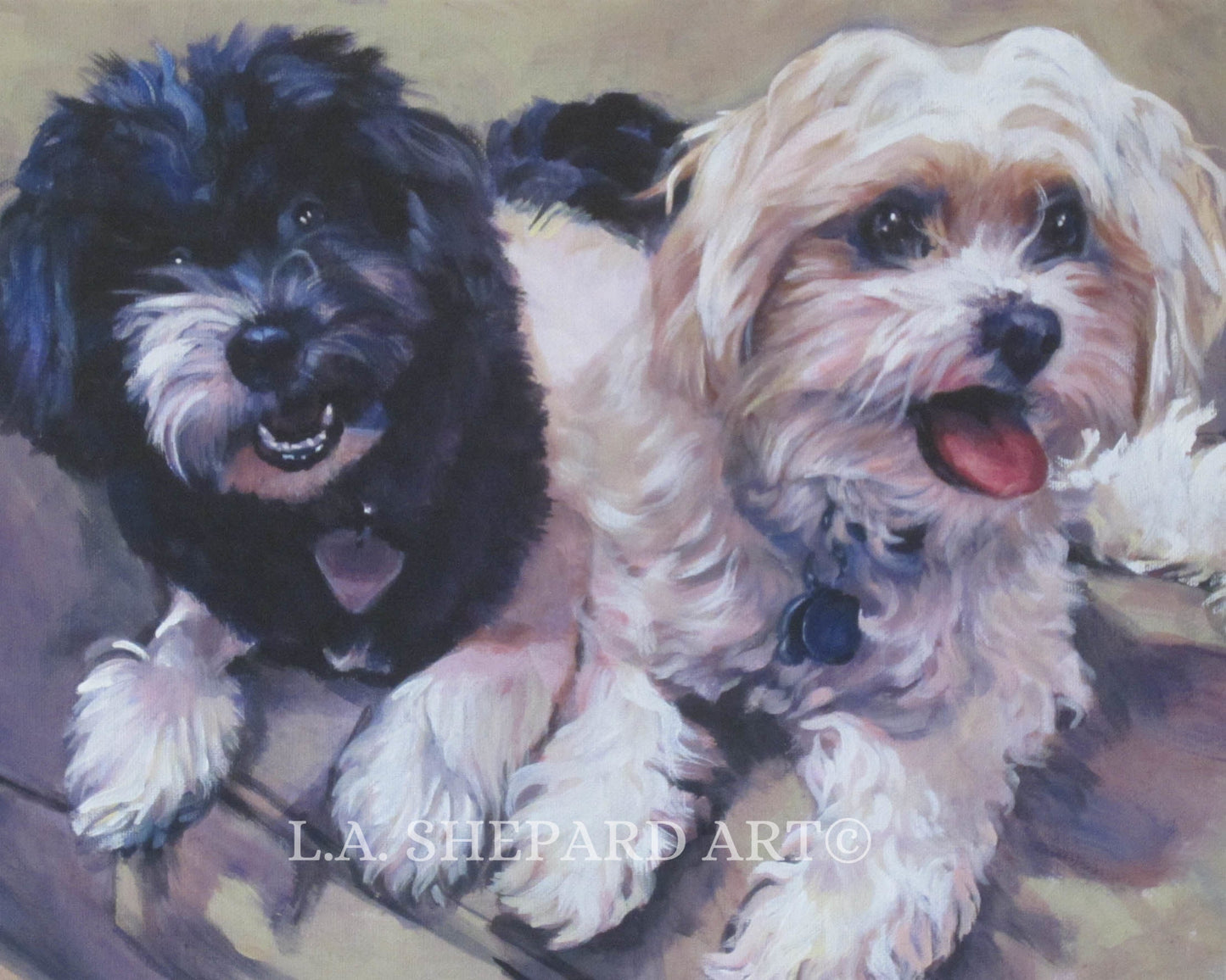 HAVANESE dog ART canvas PRINT of LAShepard painting 8x10