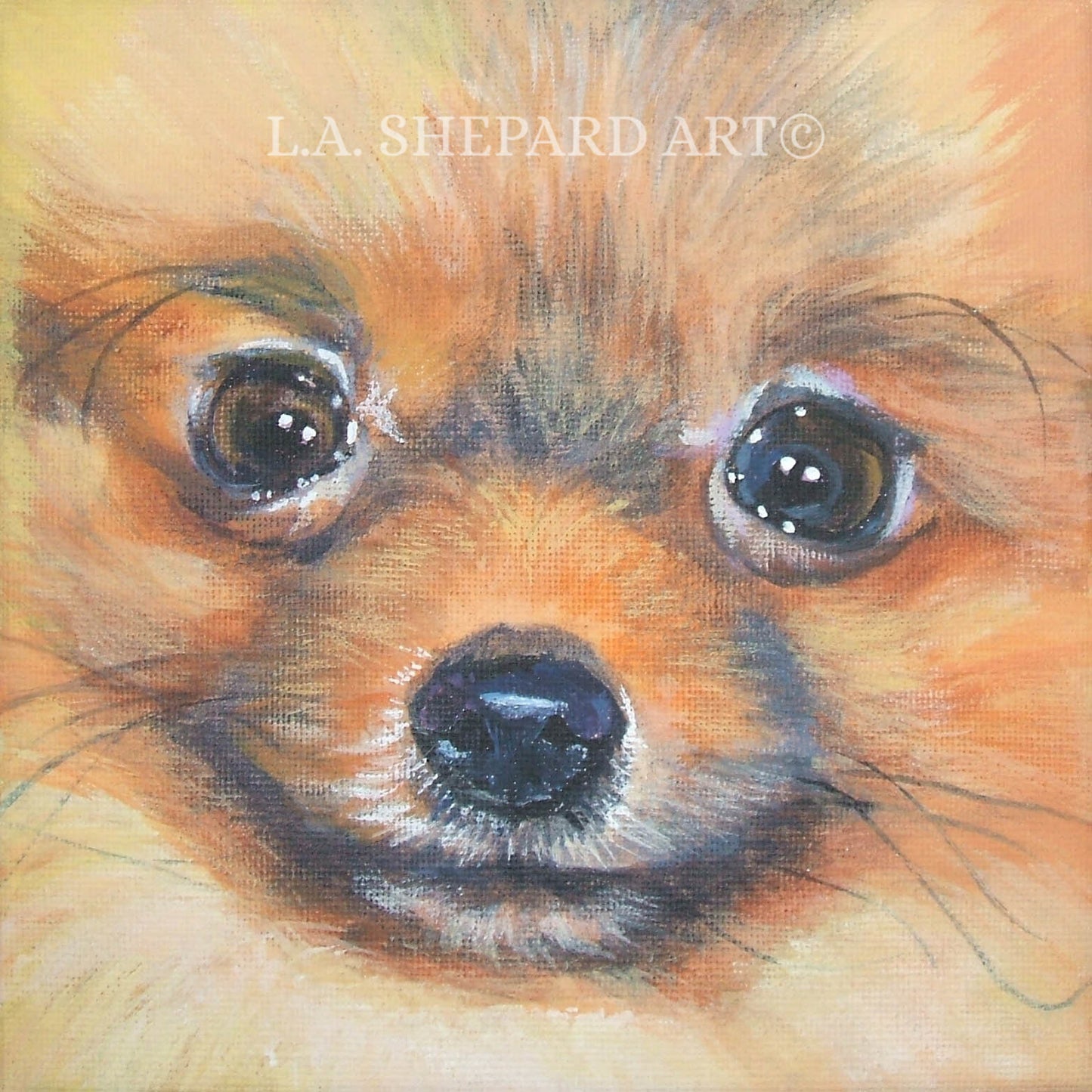 POMERANIAN PORTRAIT dog art PRINT of LAShepard painting 8x8