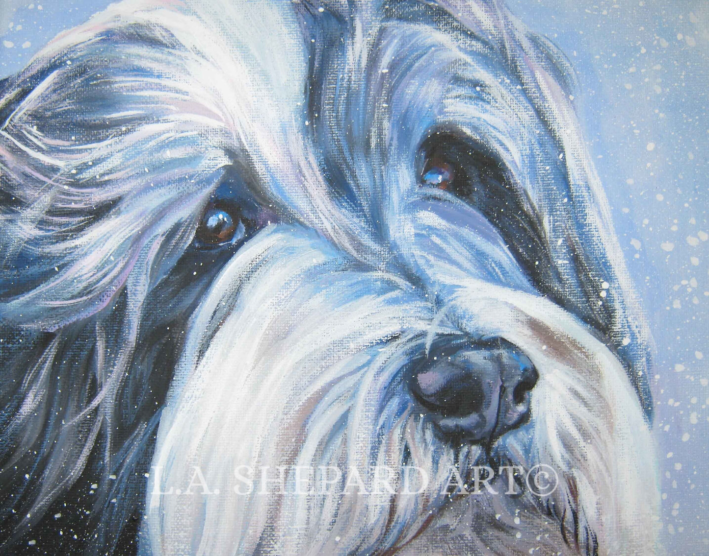 BEARDED COLLIE dog art portrait PRINT of LAShepard painting 11x14