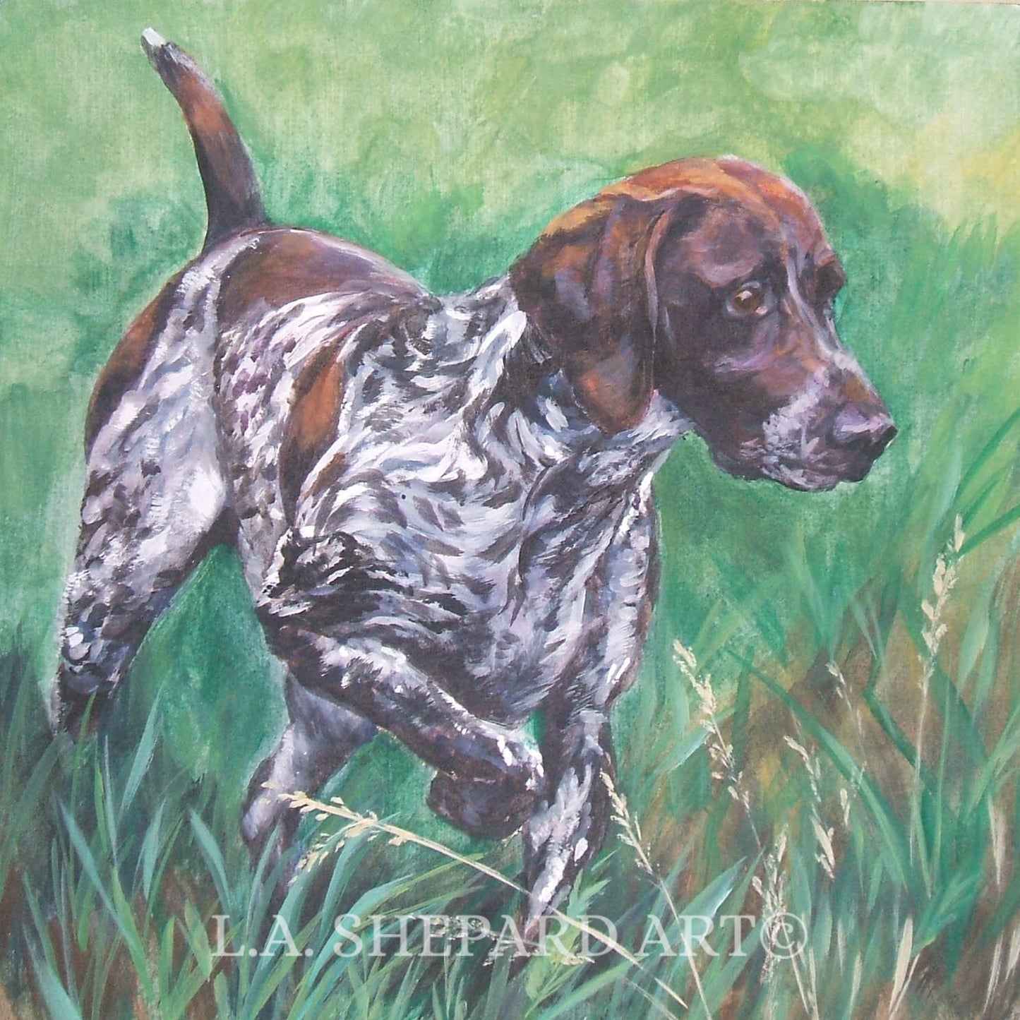 German Shorthaired pointer GSP DOG ART print of LAShepard painting 8x8
