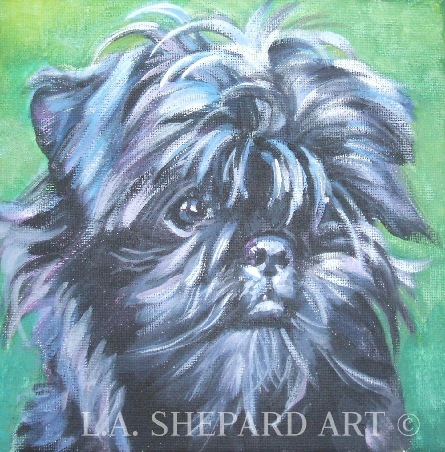 Affenpinscher "The Sweet Affie" Giclée print of original painting by LAShepard