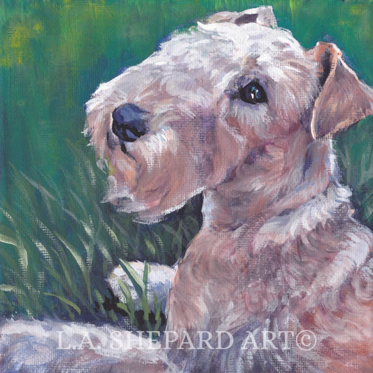 LAKELAND Terrier DOG art portrait canvas PRINT of LAShepard painting 12x12