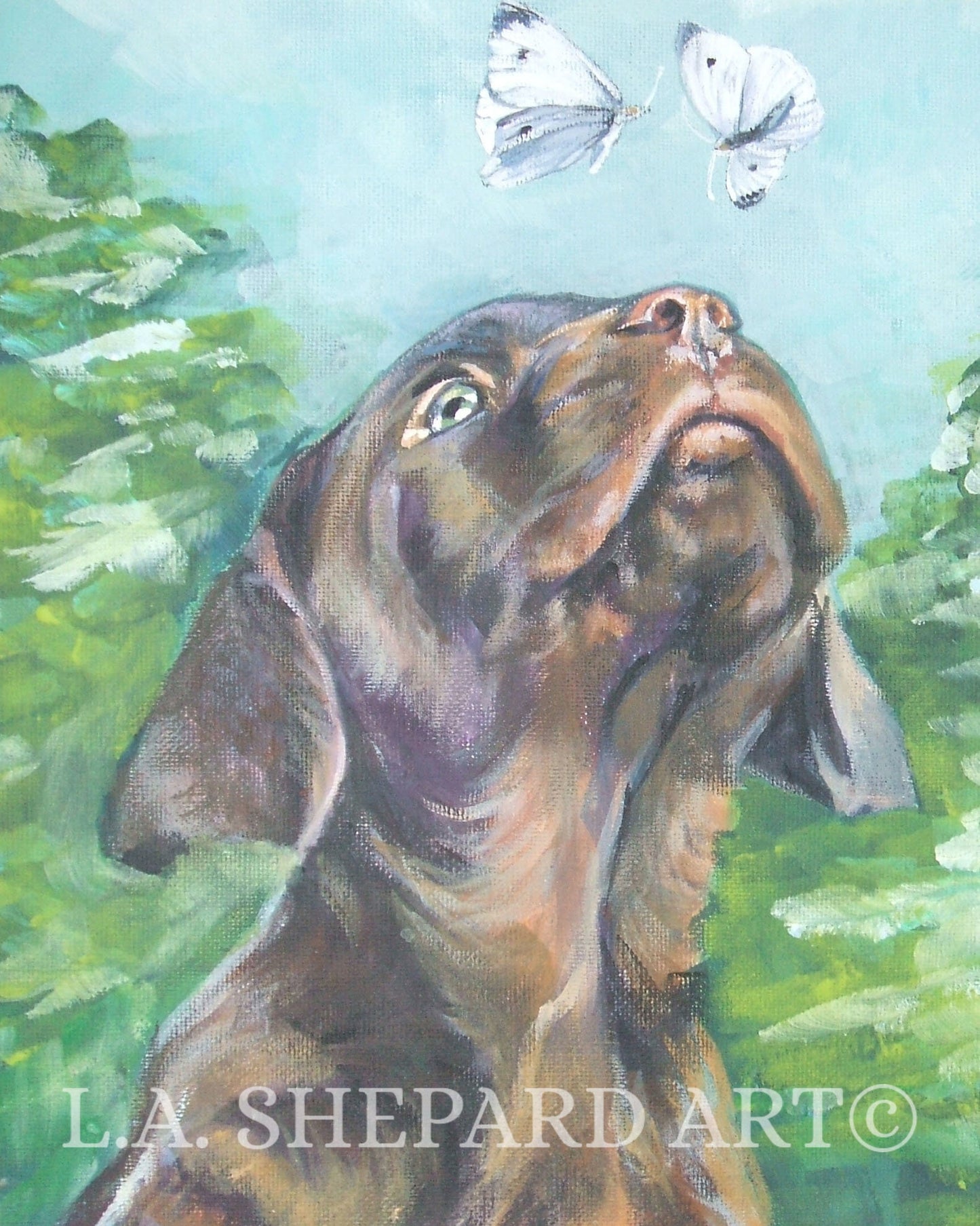 CHOCOLATE LAB PUP Labrador retriever dog art canvas print of LAShepard painting 8x10