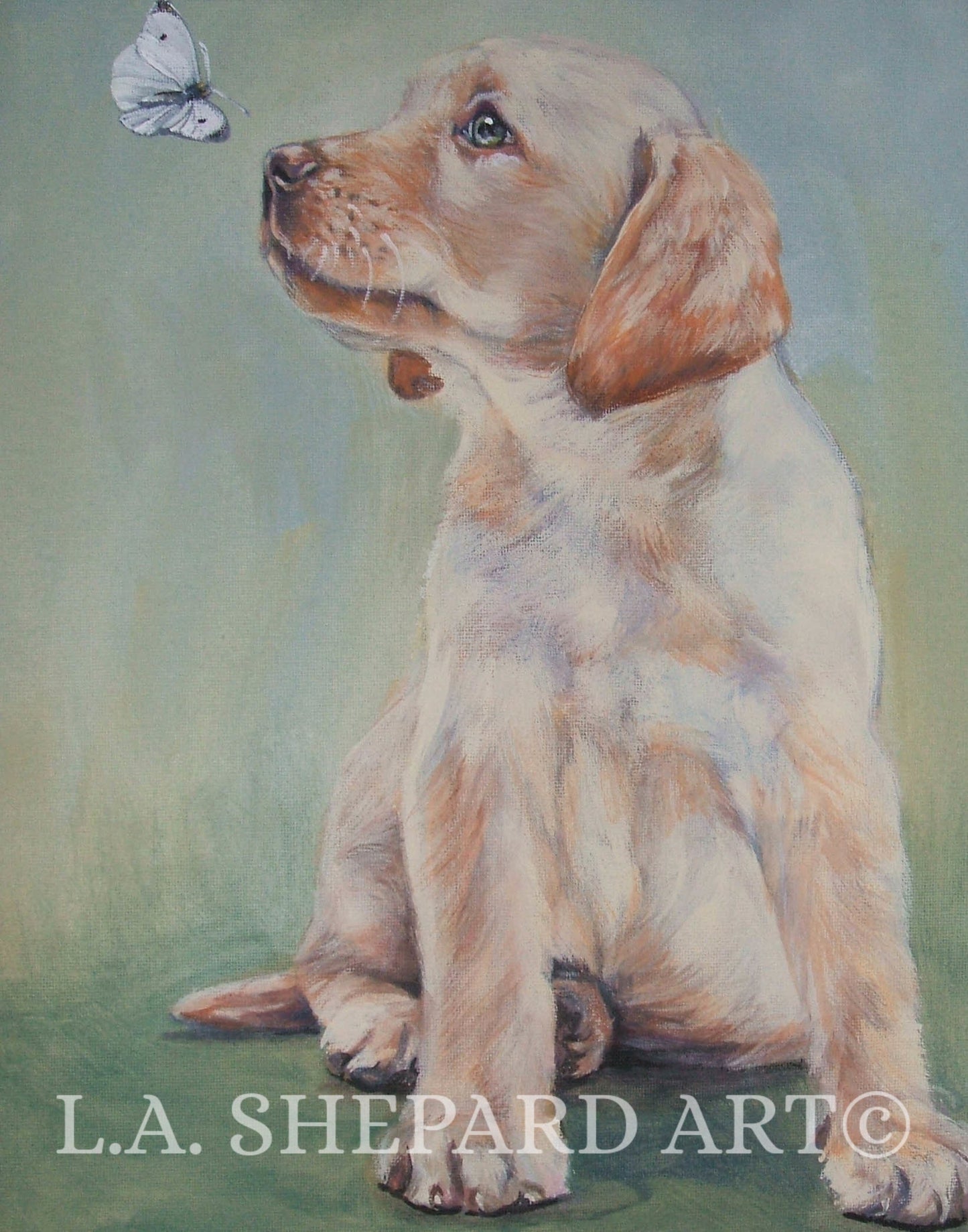 LABRADOR Retriever dog ART portrait PRINT of LAShepard painting 8x10 yellow lab