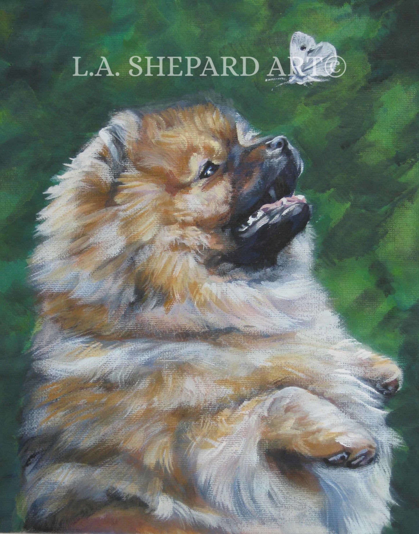 POMERANIAN dog ART portrait canvas PRINT of LAShepard painting 8x10"