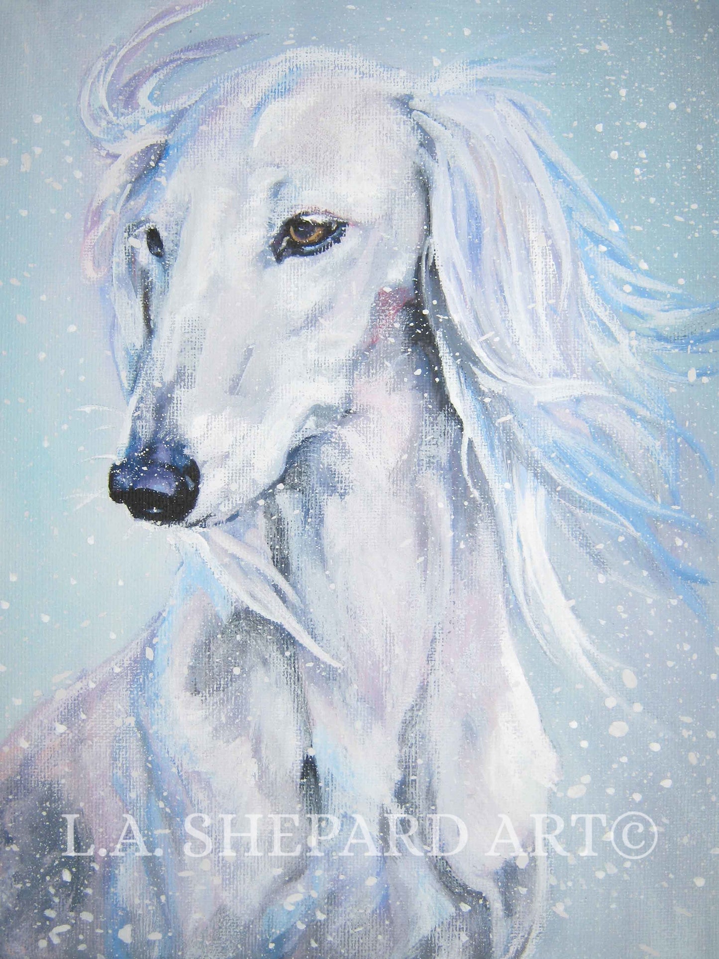 SALUKI dog ART portrait canvas PRINT of LAShepard painting 11x14