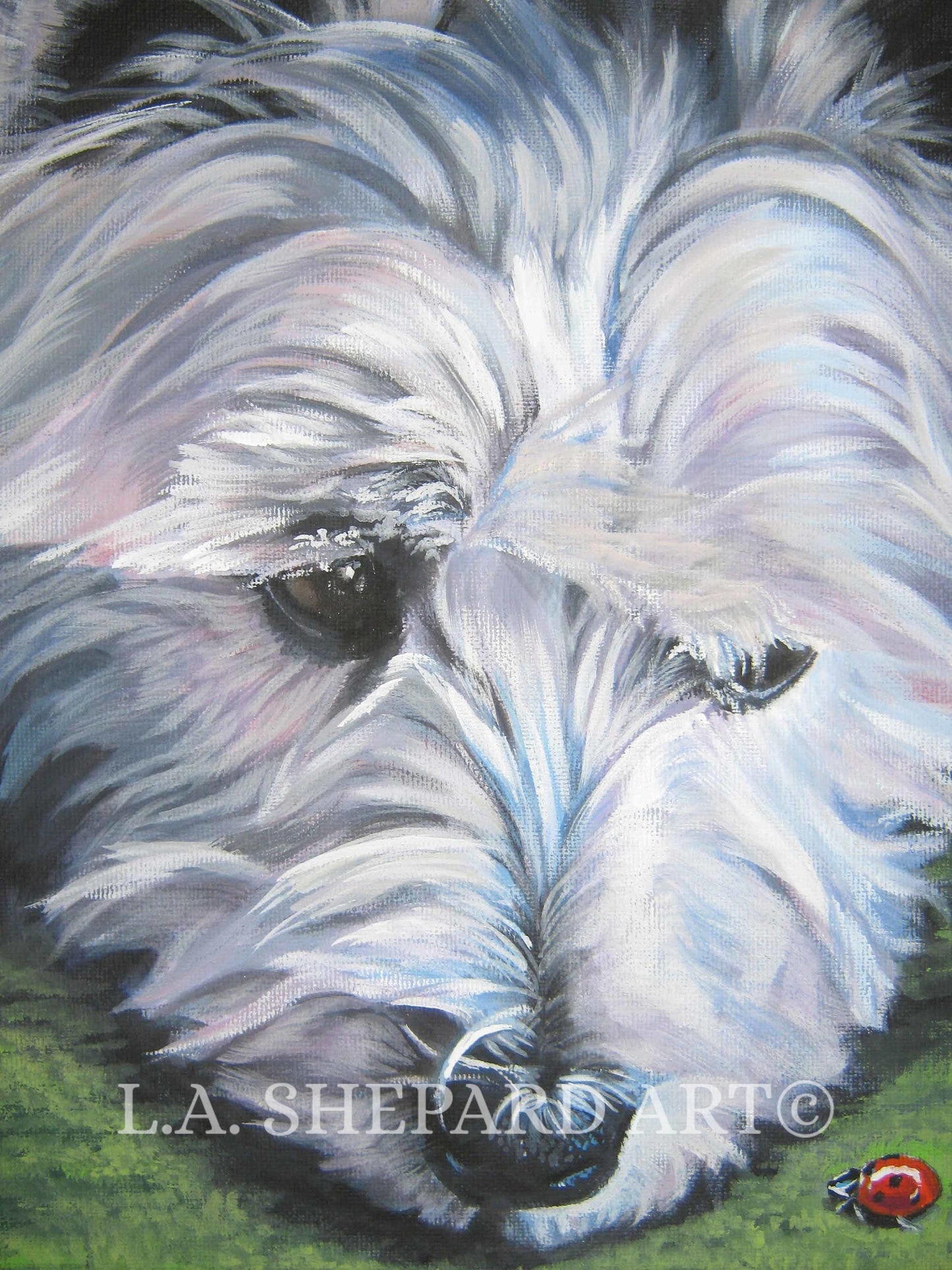 West Highland Terrier WESTIE dog PORTRAIT art canvas PRINT of LAShepard painting 8x10"