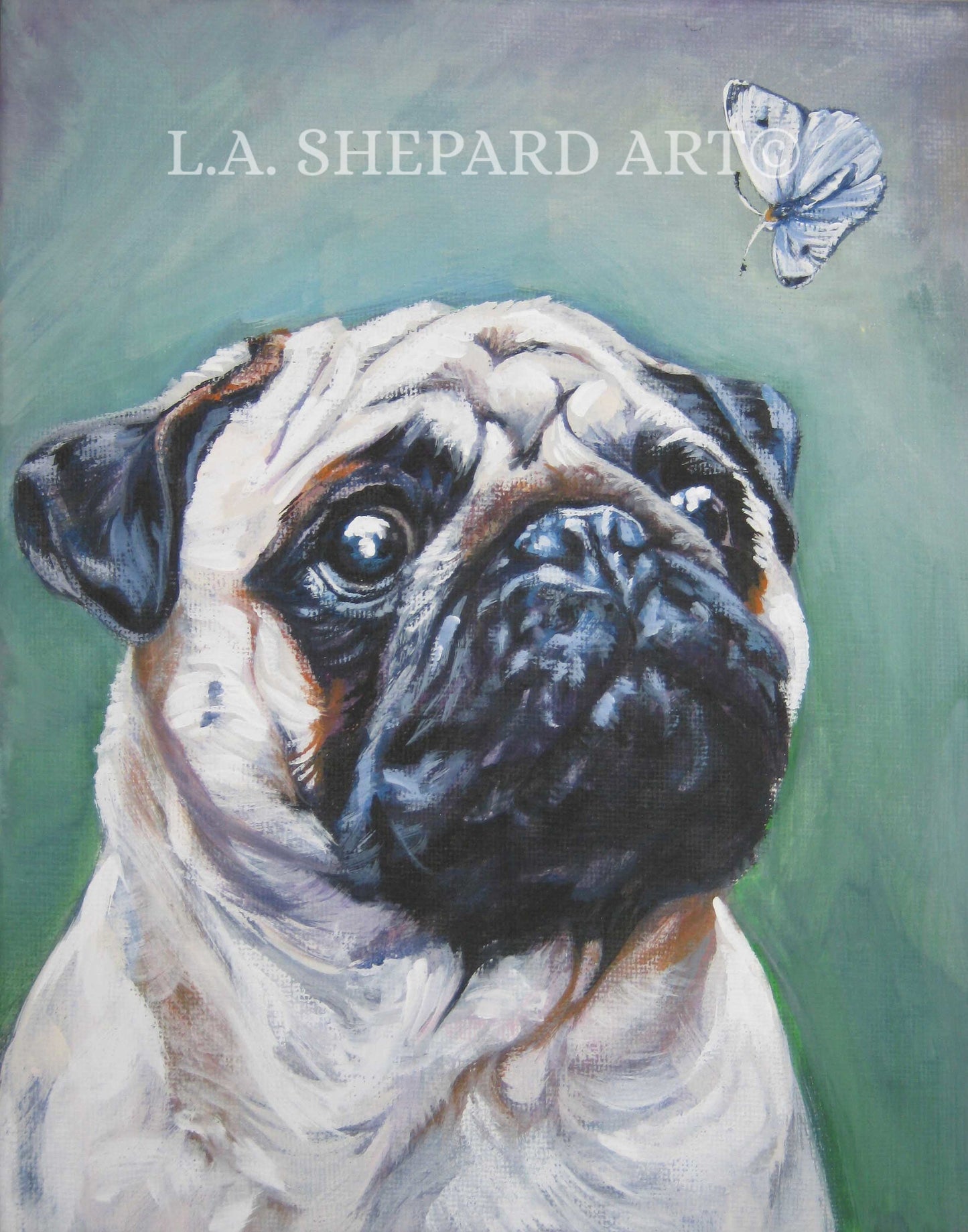 fawn PUG dog ART portrait canvas PRINT of LAShepard painting 8x10"