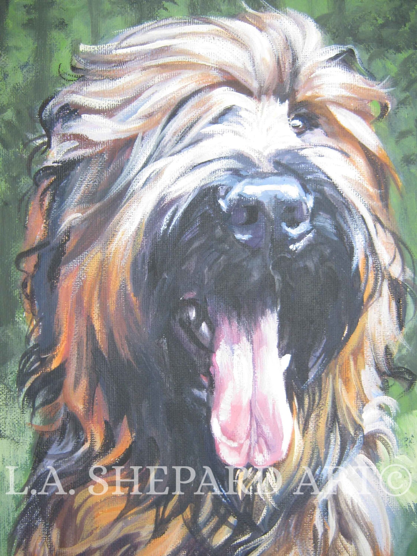 BRIARD DOG portrait art canvas PRINT of LAShepard painting 8x10