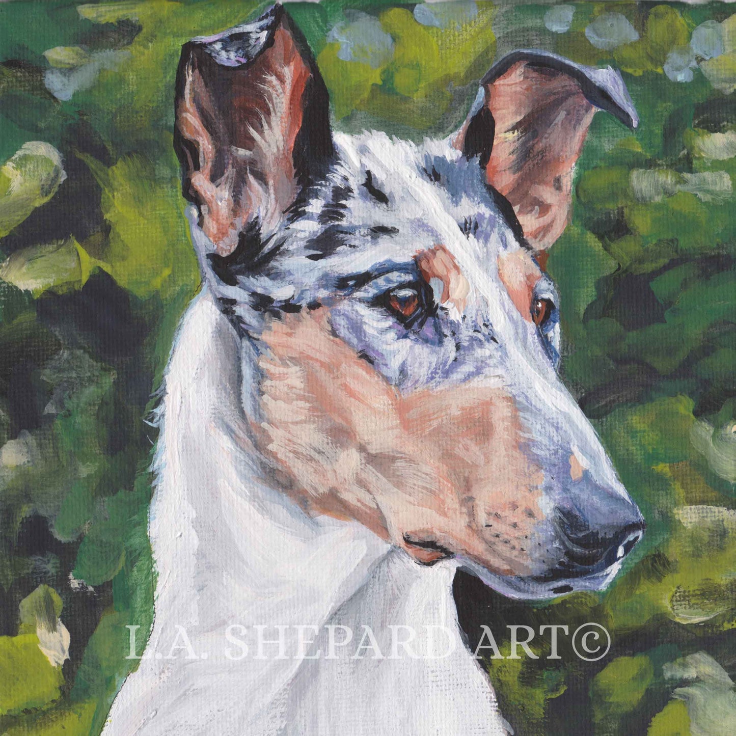 SMOOTH COLLIE portrait dog art Canvas PRINT of LAShepard dog painting 8x8"