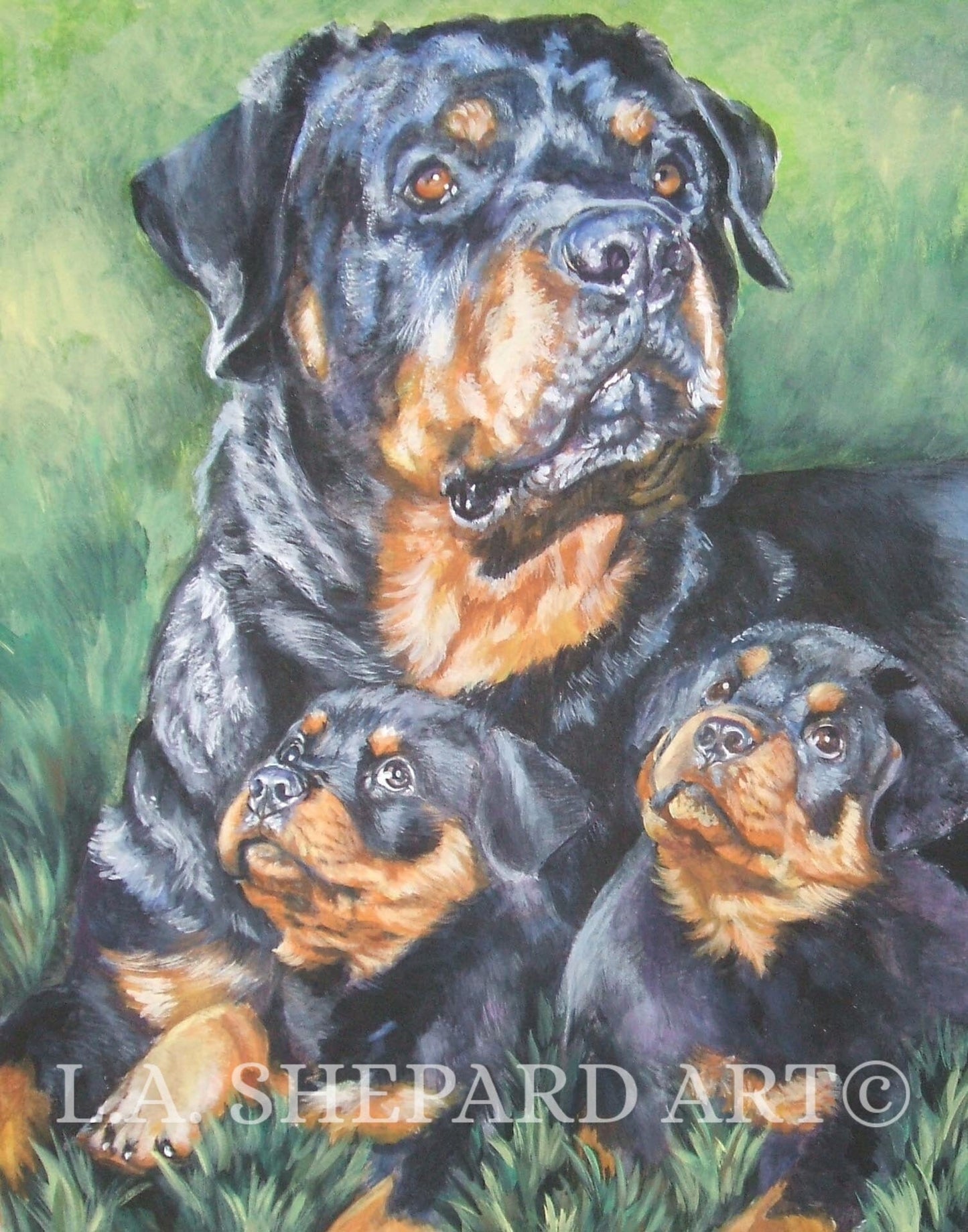 ROTTWEILER dog art canvas PRINT of LAShepard painting 8x10