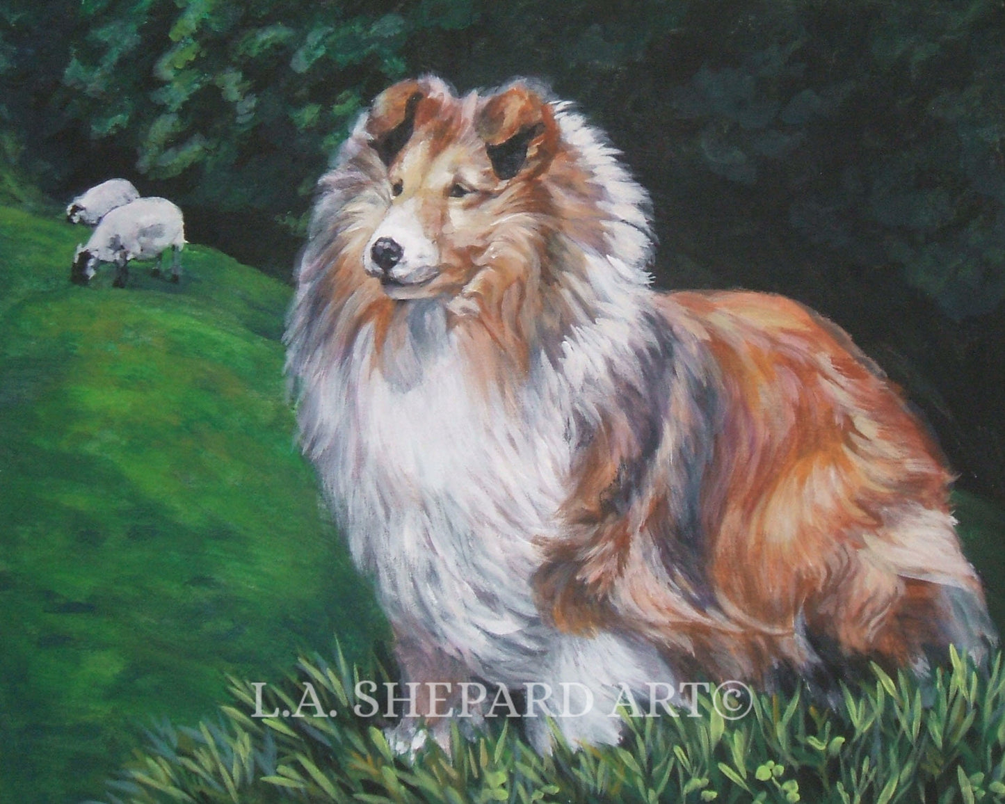 Shetland Sheepdog SHELTIE dog ART PRINT of LAShepard painting 8x10