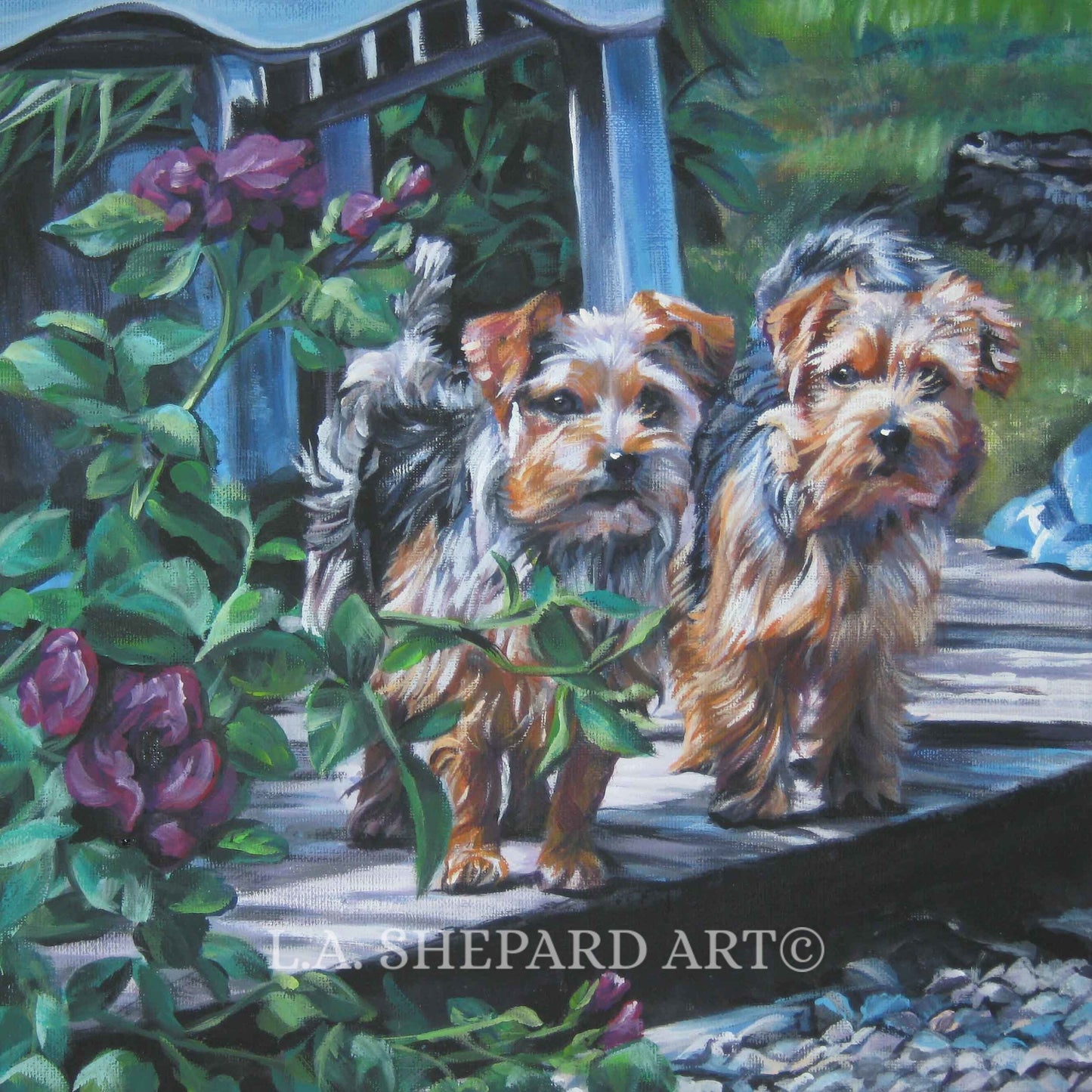 NORFOLK terrier dog ART canvas PRINT of LAShepard painting 8x8