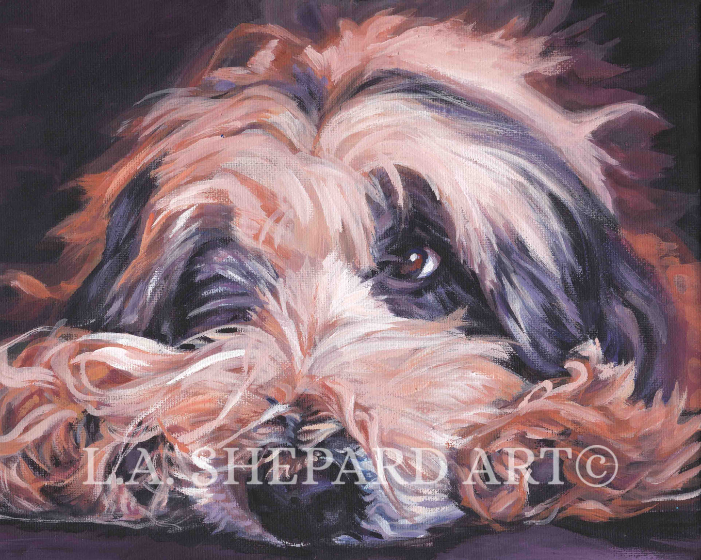 Bearded collie dog art portrait canvas print of LAShepard painting 8x10