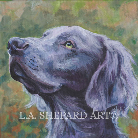 long-haired WEIMARANER dog art portrait canvas PRINT of LAShepard painting 8x8"