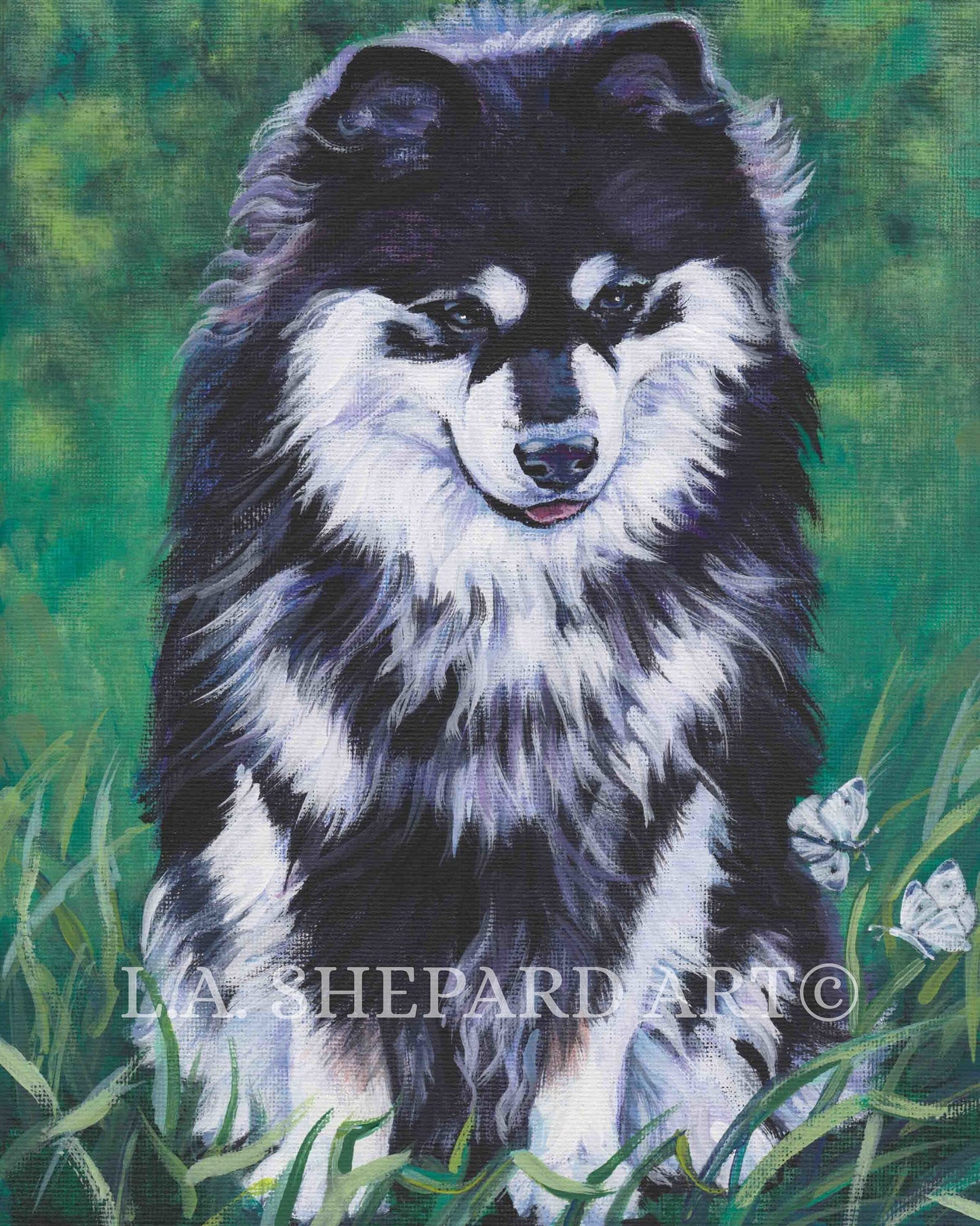 FINNISH LAPPHUND dog portrait art canvas PRINT of LAShepard painting 8x10"