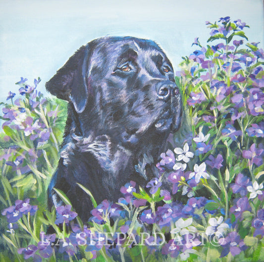 Labrador Retriever BLACK LAB dog portrait art canvas PRINT of LAShepard painting 8x8"