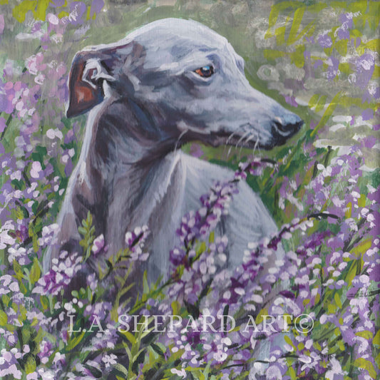 ITALIAN GREYHOUND dog portrait art canvas PRINT of LAShepard painting 8x8"