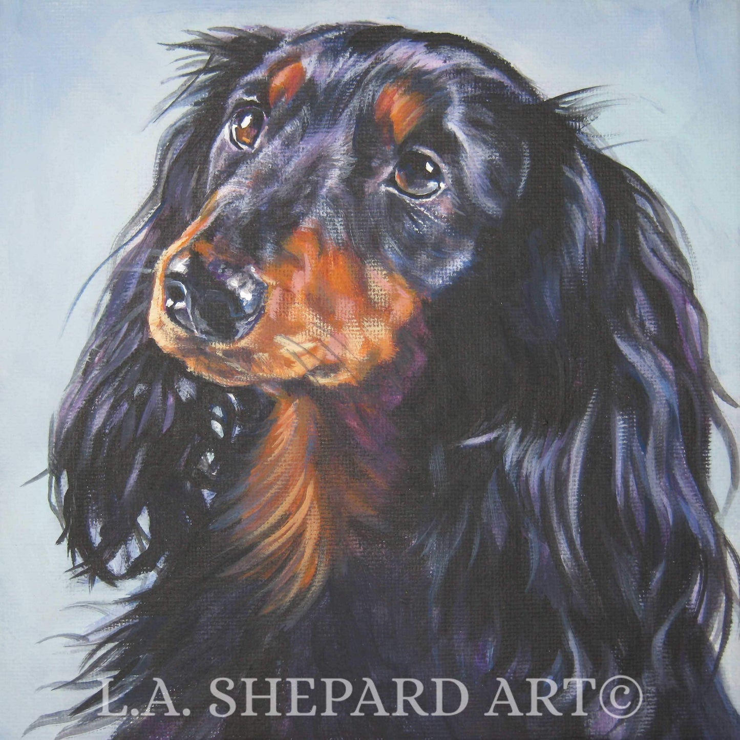 DACHSHUND dog portrait ART canvas PRINT of LAShepard painting 12x12