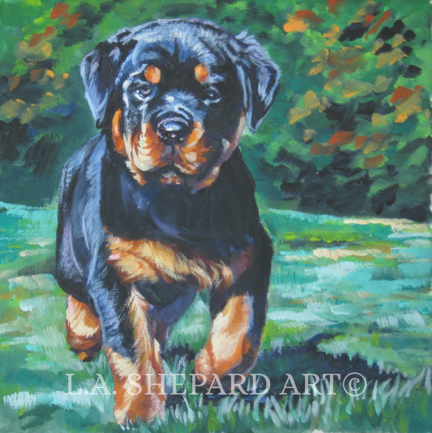 ROTTWEILER puppy dog ART canvas PRINT of LAShepard painting 8x8