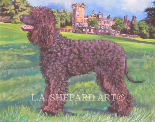 Irish Water Spaniel dog art print of LAShepard painting 11x14