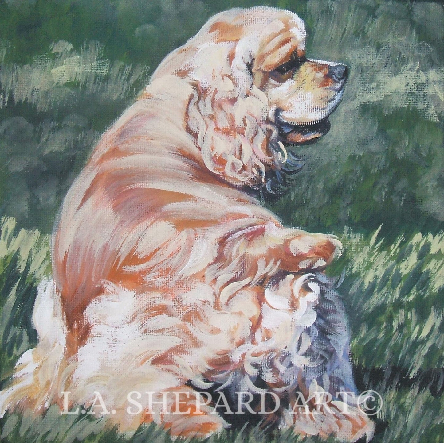 American COCKER Spaniel dog art PRINT of LA Shepard painting 12x12"