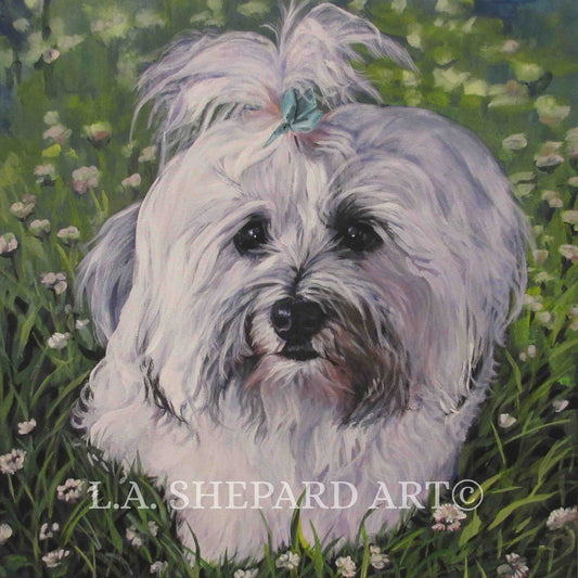 HAVANESE dog portrait art canvas PRINT of LAShepard painting 12x12"