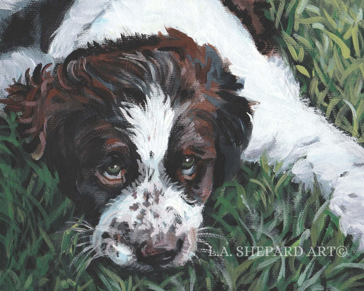 English SPRINGER Spaniel dog art portrait canvas PRINT of LA Shepard painting 8x10