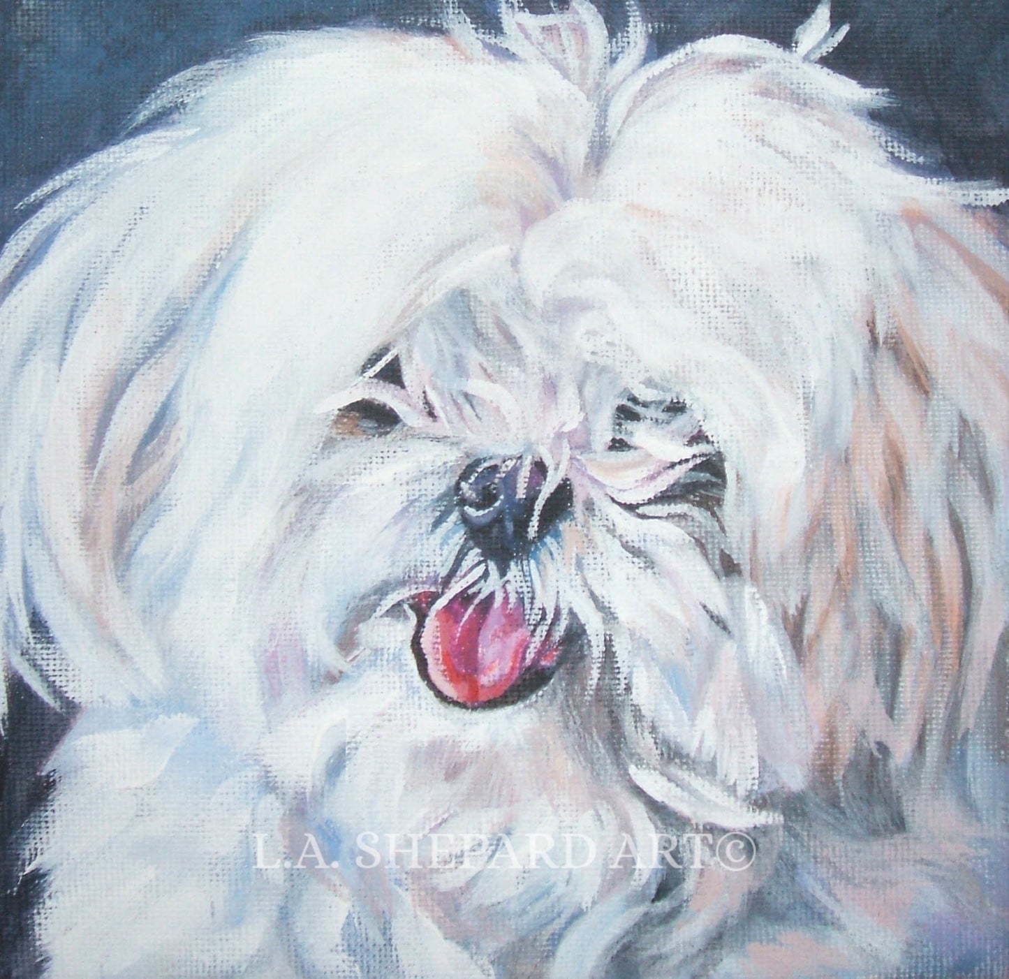 Maltese dog art portrait CANVAS print of LA Shepard painting 12x12