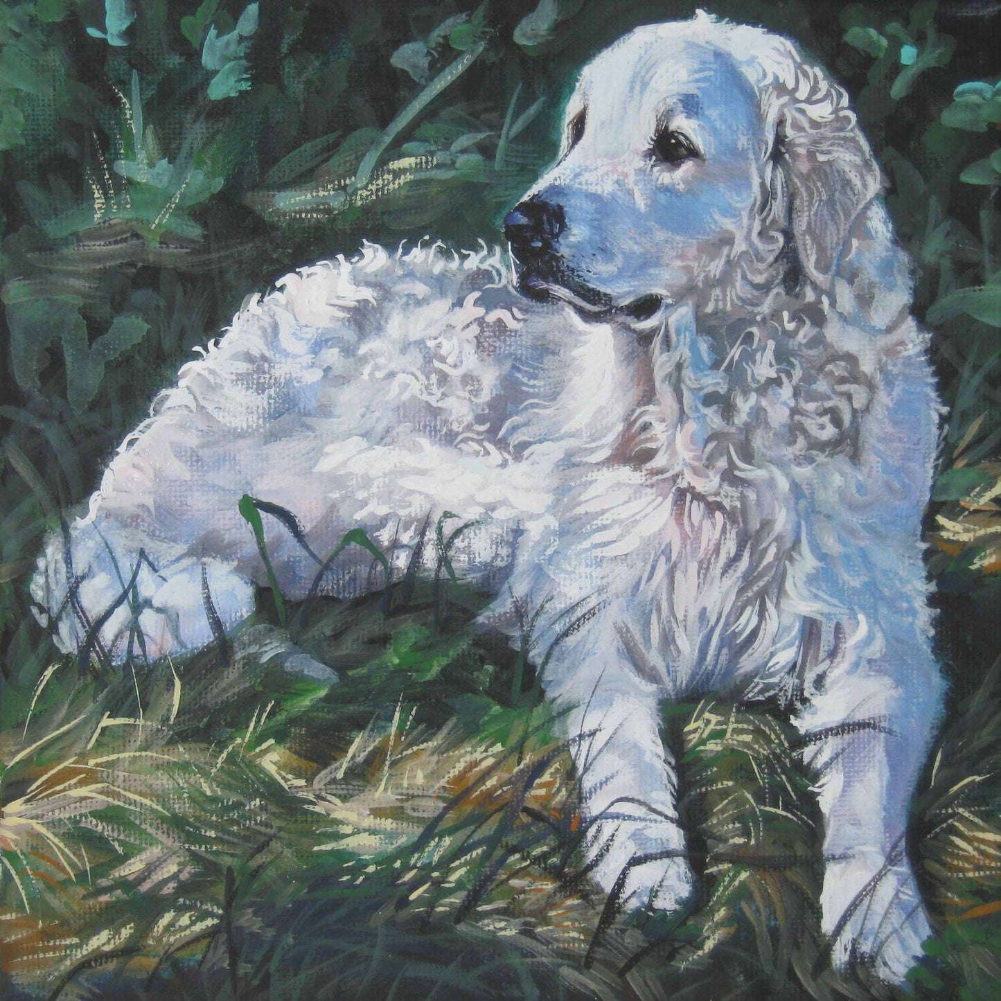 Hungarian KUVASZ dog ART portrait canvas PRINT of LAShepard painting 8x8"