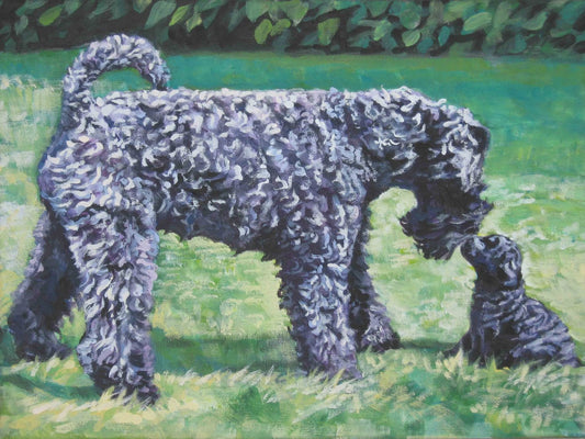 Kerry BlueTerrier dog art CANVAS print of LA Shepard painting 12x16