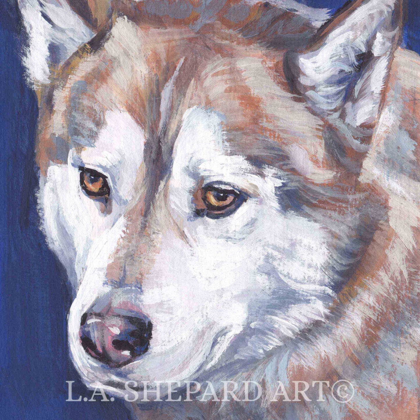 Siberian HUSKY dog ART portrait PRINT of L.A.Shepard painting 8x8"
