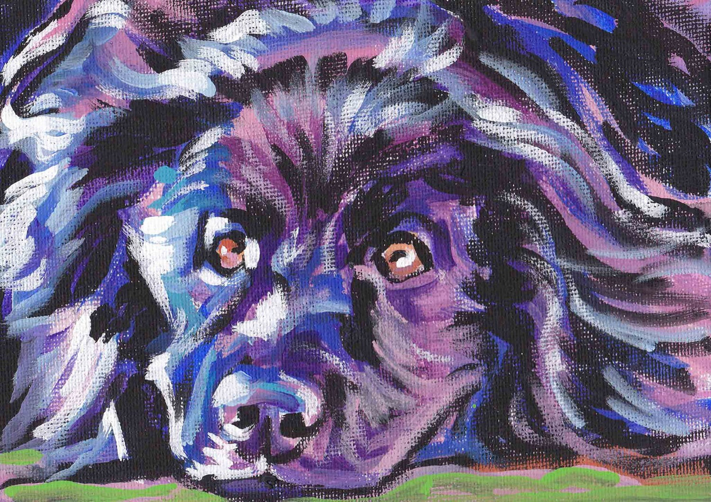 NEWFOUNDLAND DOG art portrait PRINT pop art 13x19"