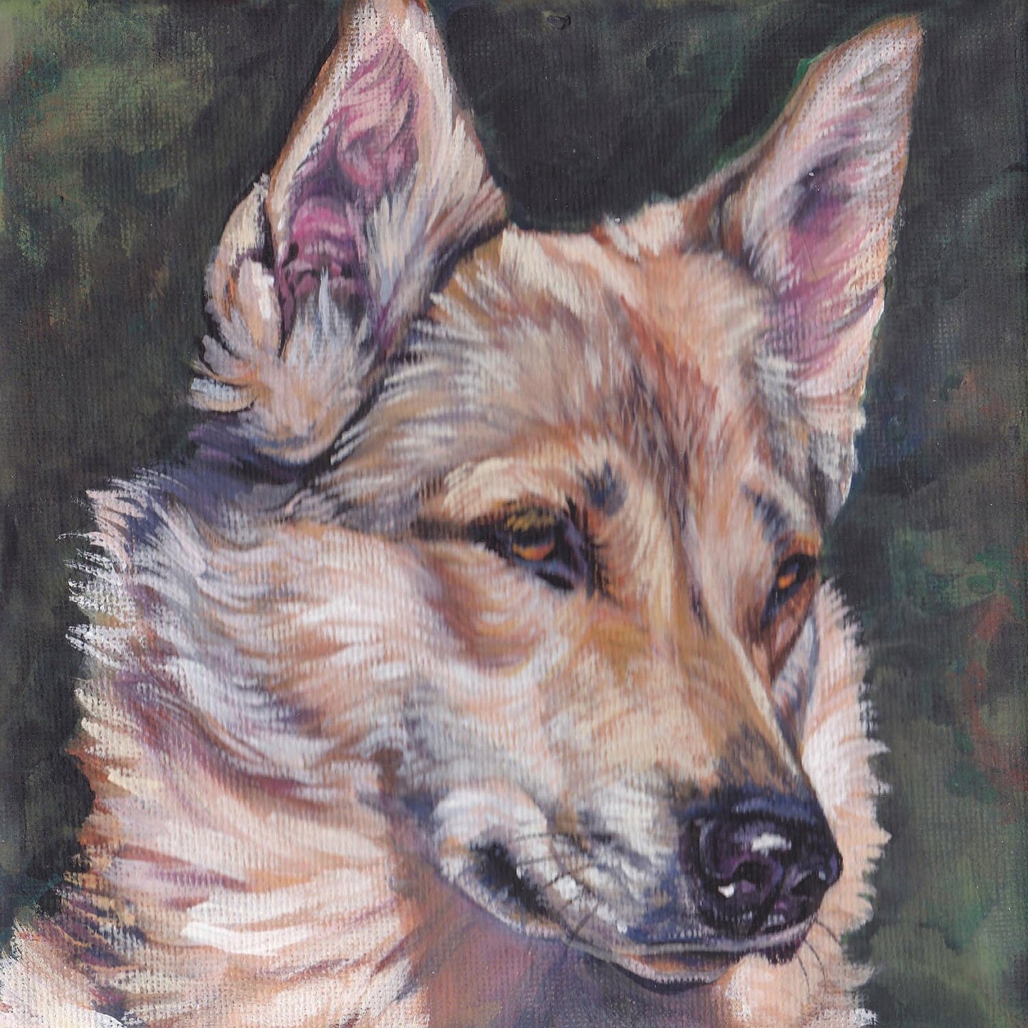 West Siberian Laika dog art portrait CANVAS print of LA Shepard painting 8x8