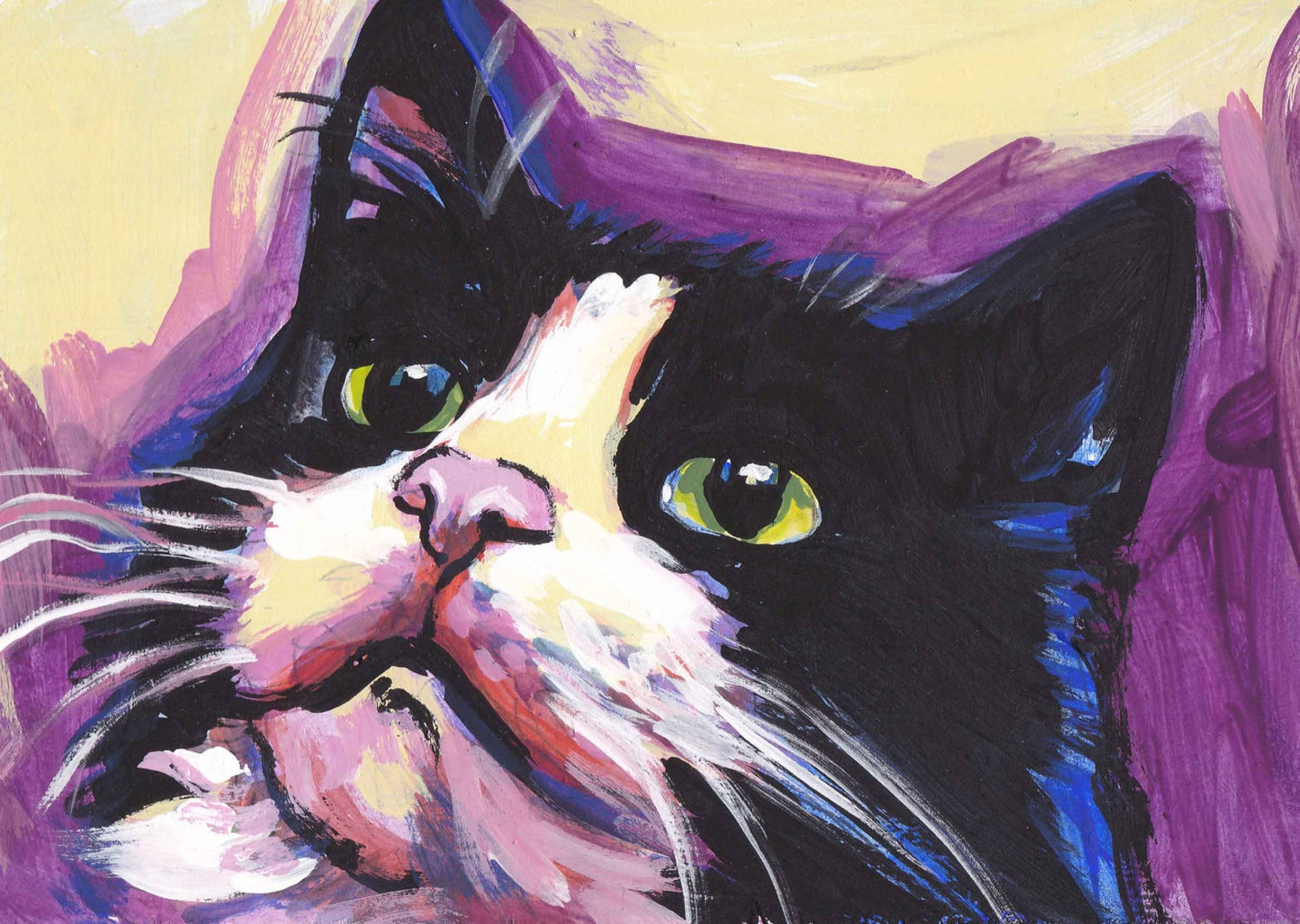 tuxedo Cat kitten art print pop art bright colorful cat portrait art 8.5x11
