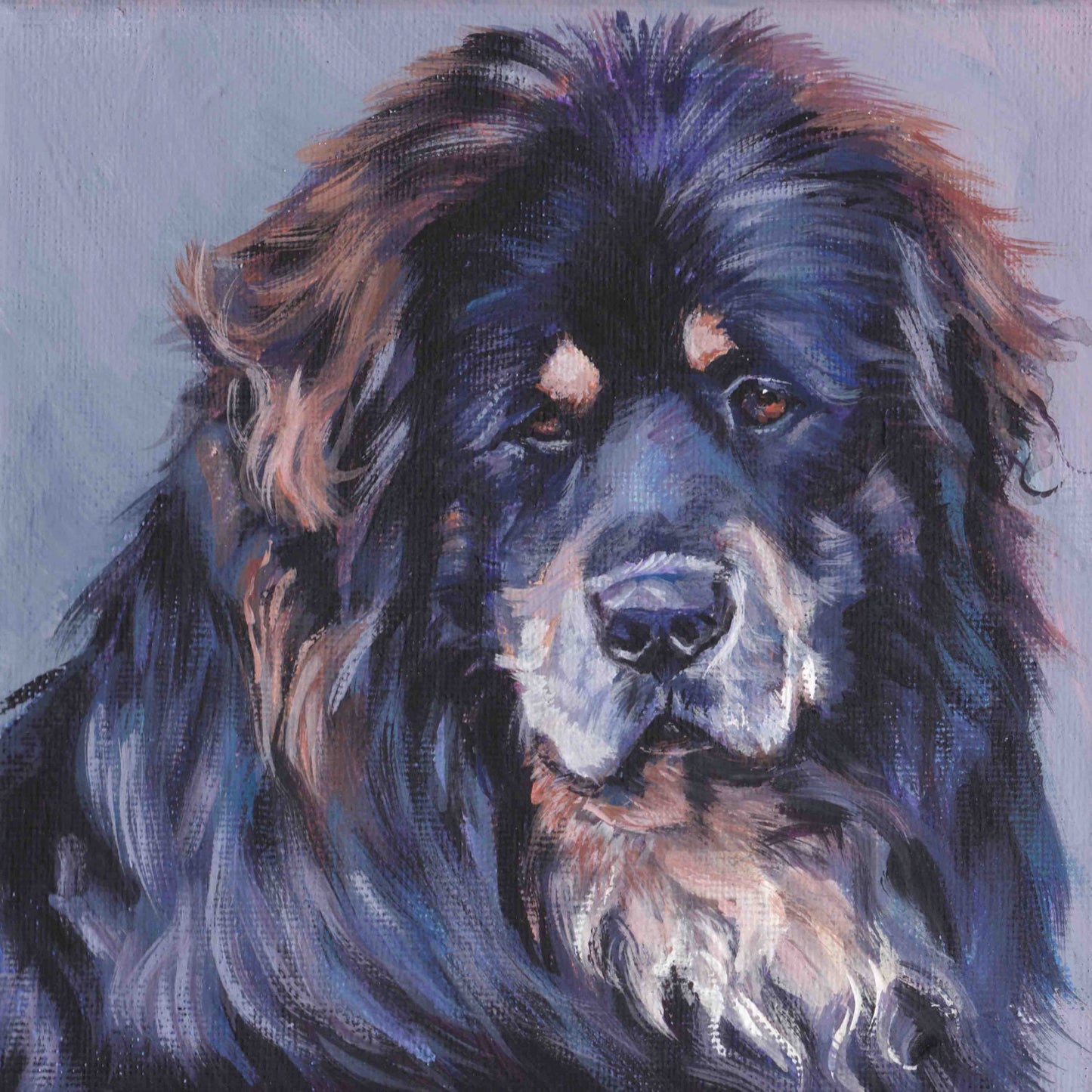 Tibetan Mastiff portrait art CANVAS print of LA Shepard painting 8x8 dog art
