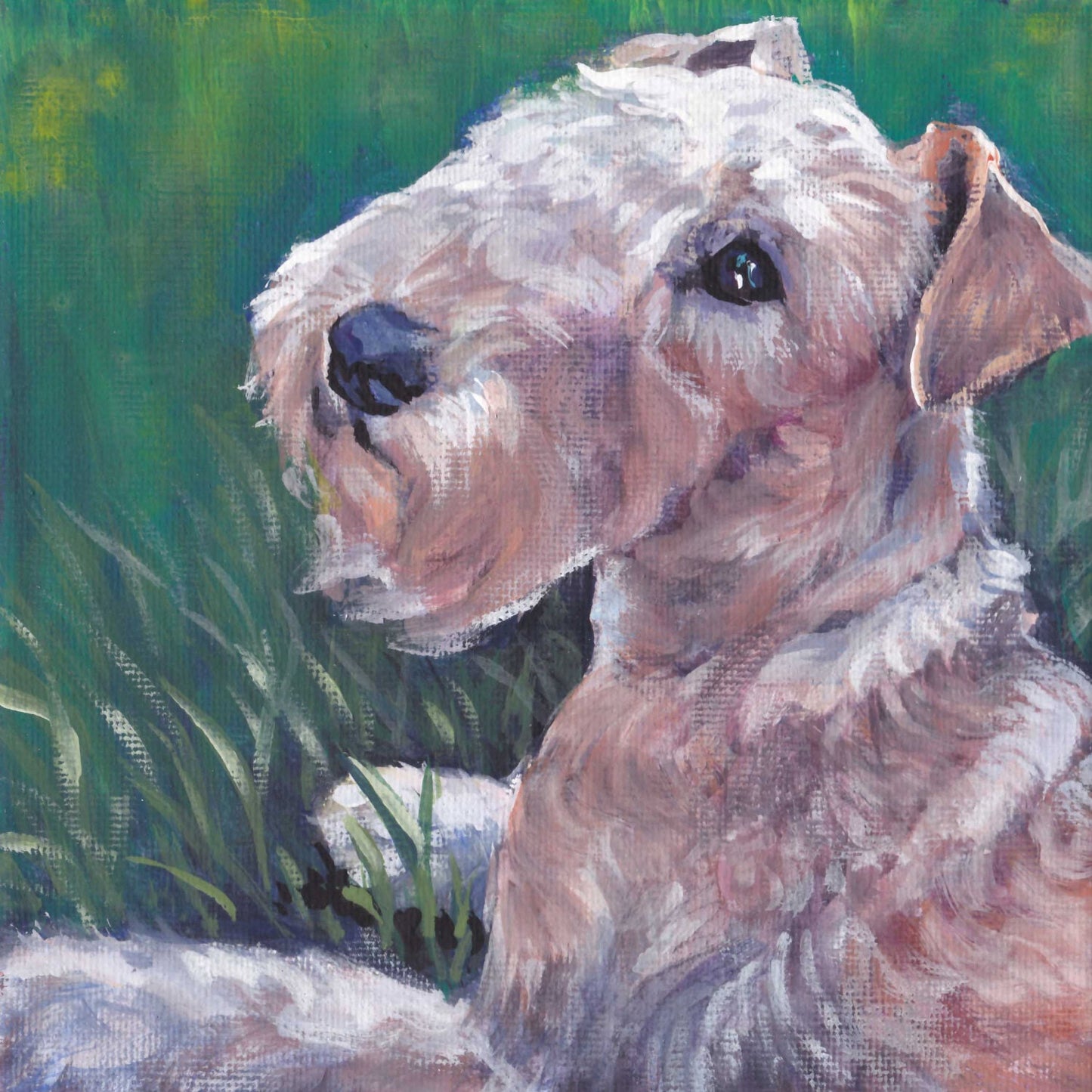 Lakeland Terrier dog art giclee CANVAS print of LA Shepard dog painting 8x8 portrait