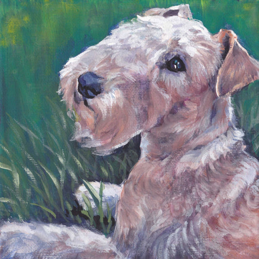 Lakeland Terrier dog art giclee CANVAS print of LA Shepard dog painting 8x8 portrait