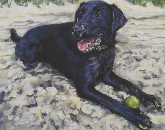 Labrador Retriever art portrait print of LA Shepard painting 11x14 black lab