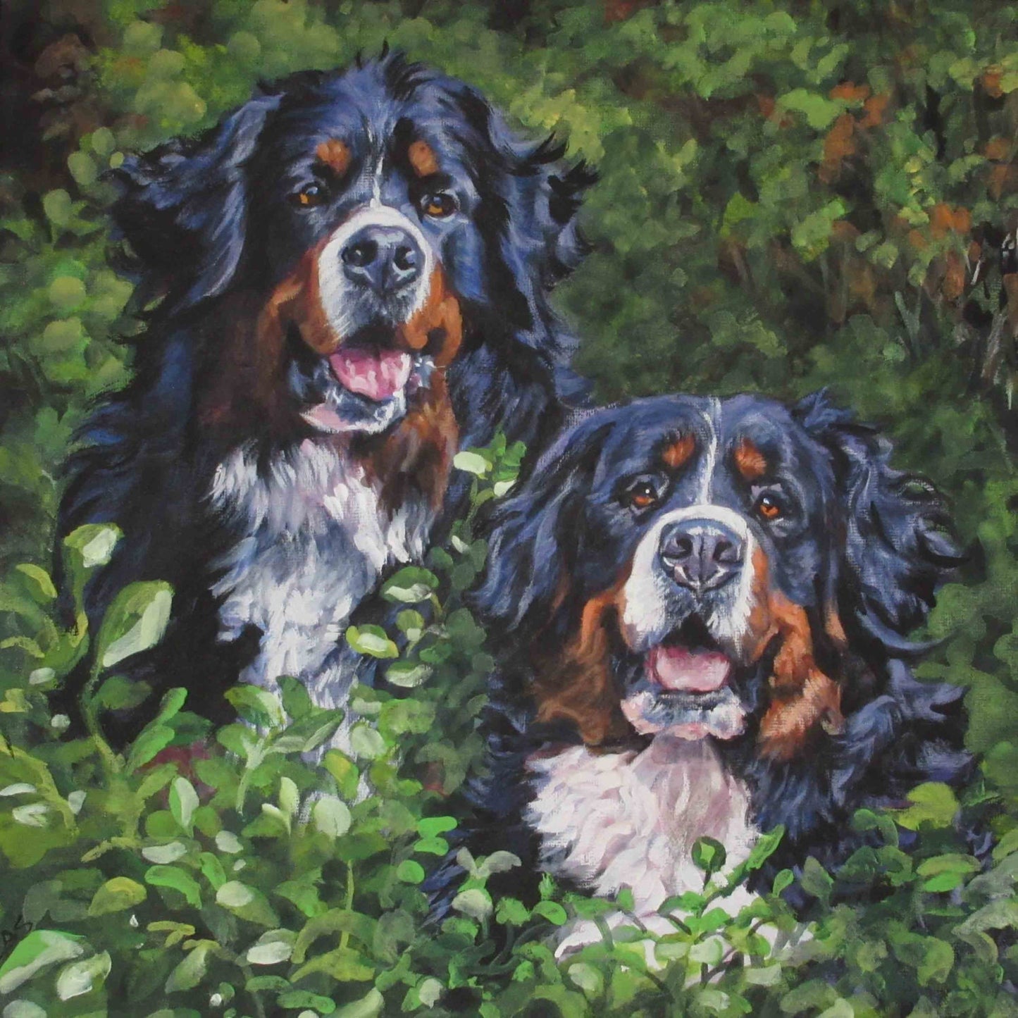 Bernese Mountain Dog art portrait CANVAS print of LA Shepard painting 8x8