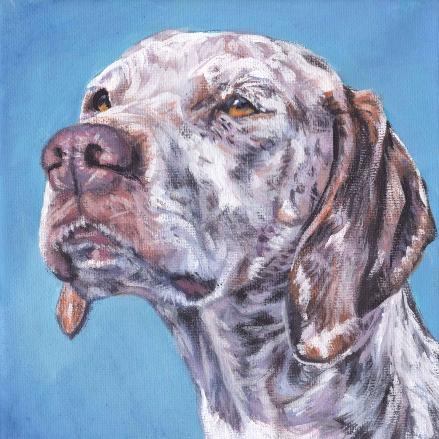 Braque du Bourbonnais dog portrait art CANVAS print of LAShepard painting 8x8" French Pointer