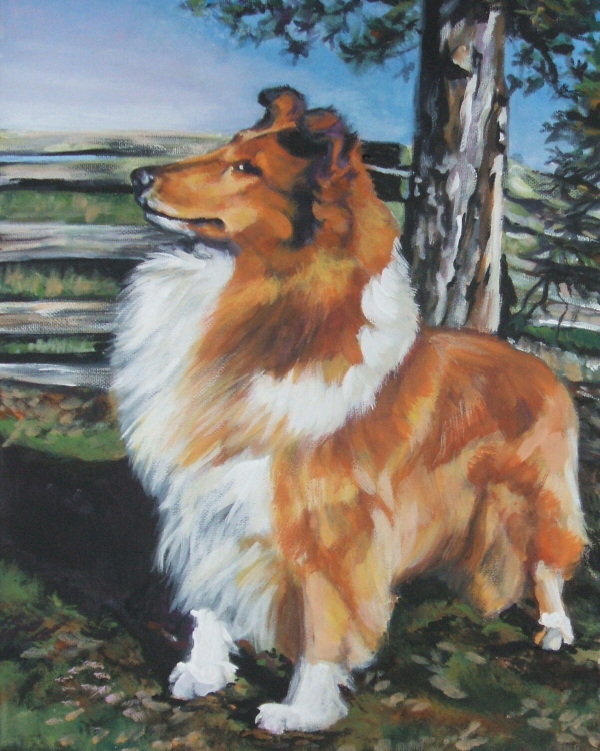 Rough Collie dog art CANVAS print of LA Shepard painting 11x14