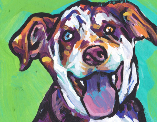 Catahoula Leopard Dog portrait art PRINT of pop art painting bright colors 8.5x11"